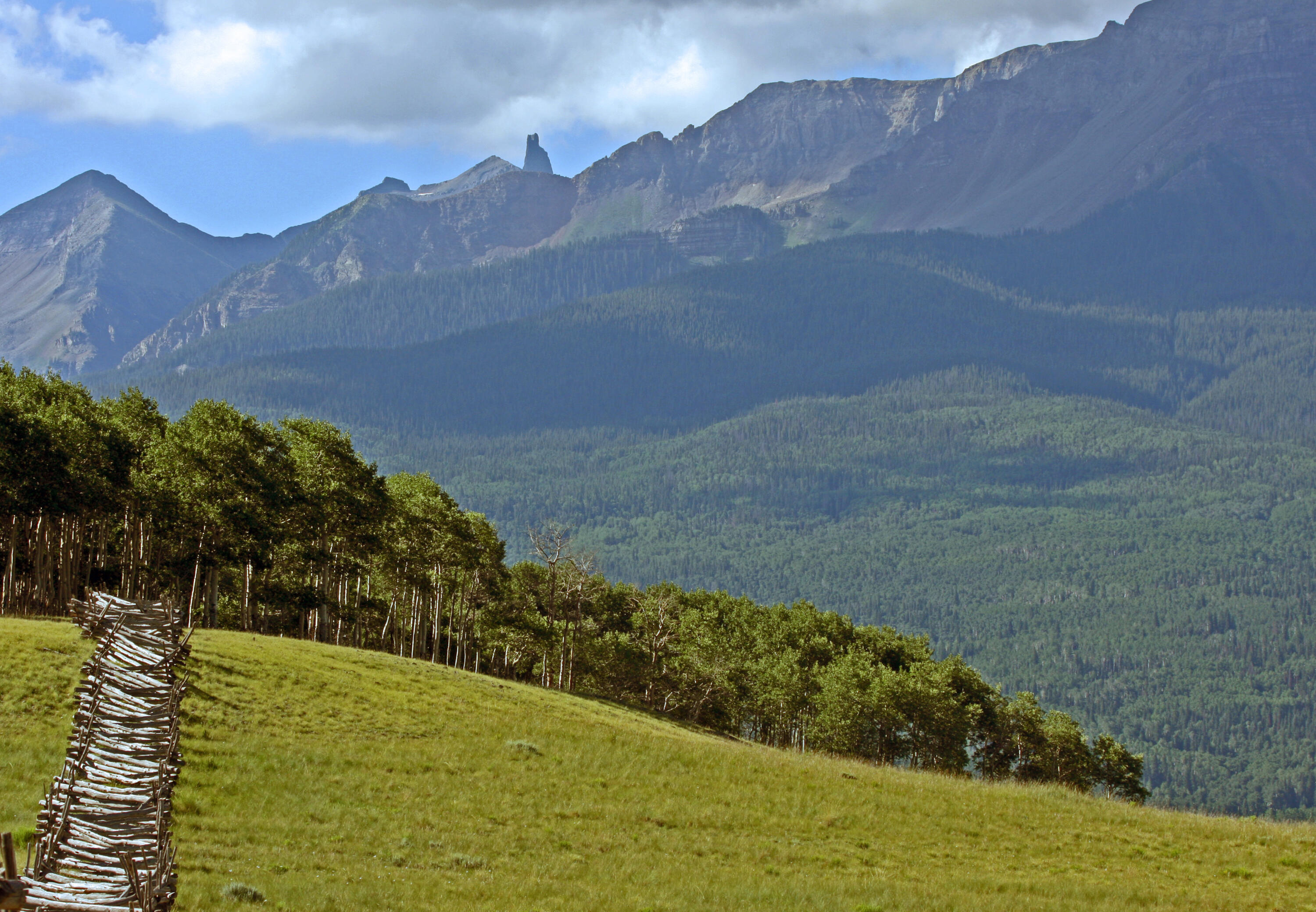 2728 Sound Of Music Lane Placerville, CO 81430 - Photo 15 of 28 Lizard Head View