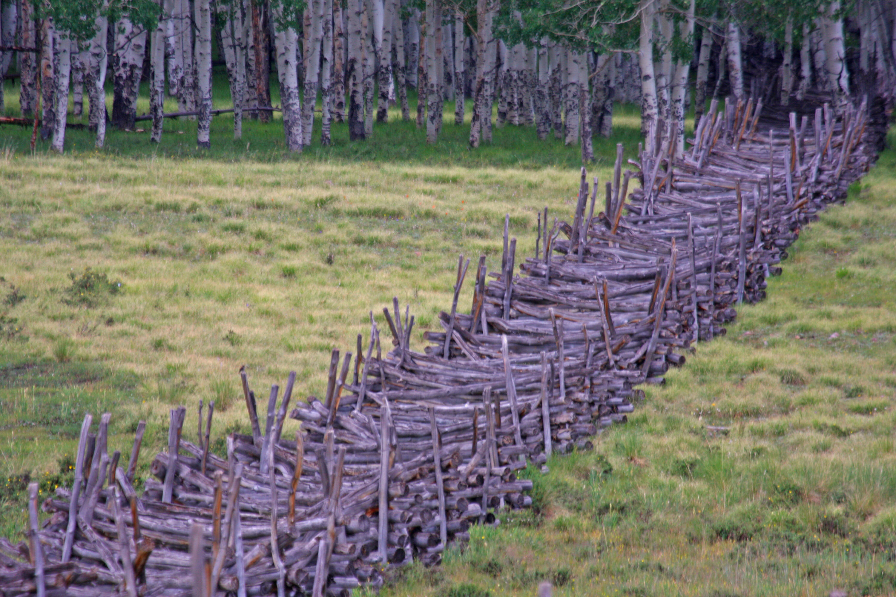 2728 Sound Of Music Lane Placerville, CO 81430 - Photo 17 of 28 Historic Fence