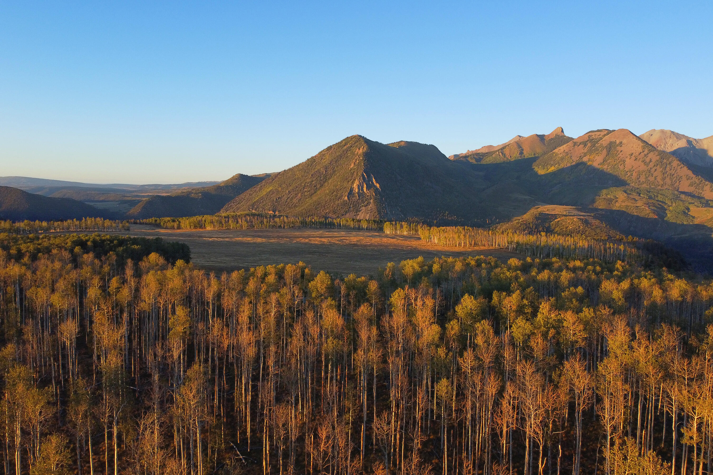 2728 Sound Of Music Lane Placerville, CO 81430 - Photo 21 of 28 Last Dollar View