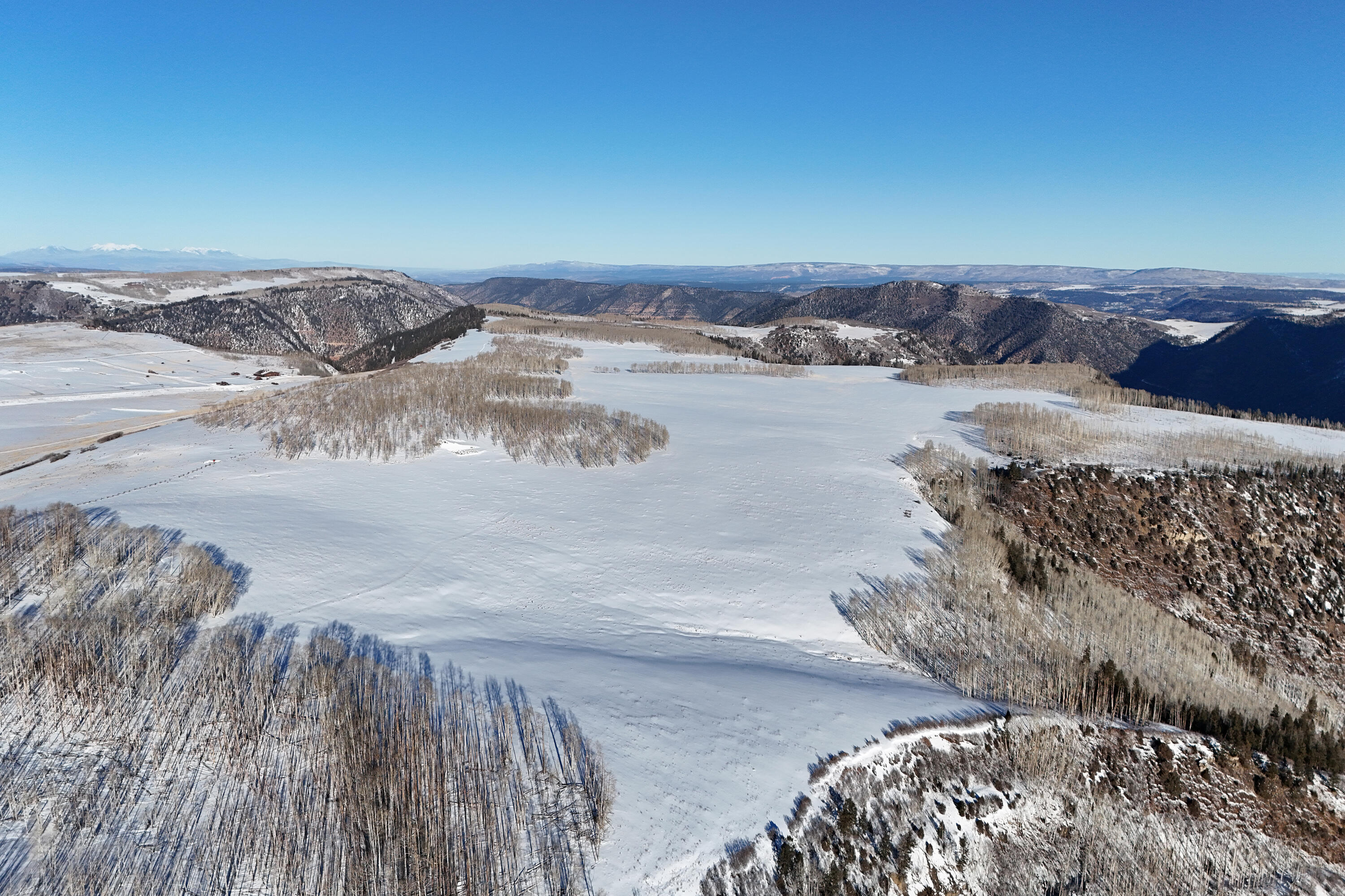2728 Sound Of Music Lane Placerville, CO 81430 - Photo 28 of 28 Meadows in Winter