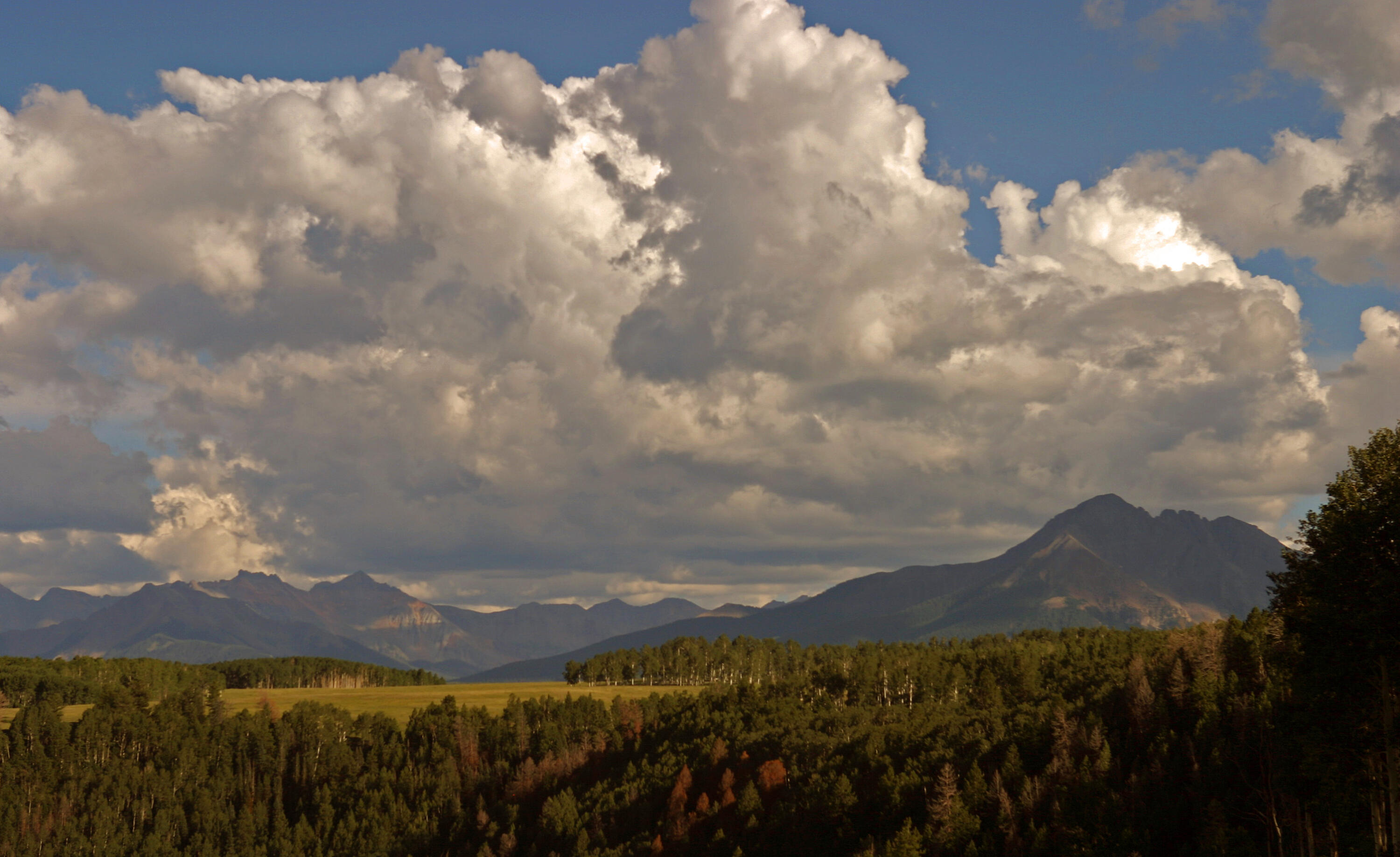 2728 Sound Of Music Lane Placerville, CO 81430 - Photo 8 of 28 Escarpment