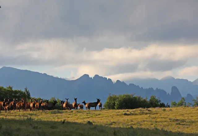 $13,500,000 | 2728 Sound Of Music Lane, Placerville, CO 81430