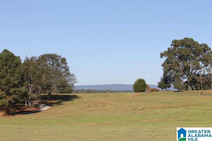 3258 Youngs Mill Road Lineville, AL 36266 - Photo 31 of 50