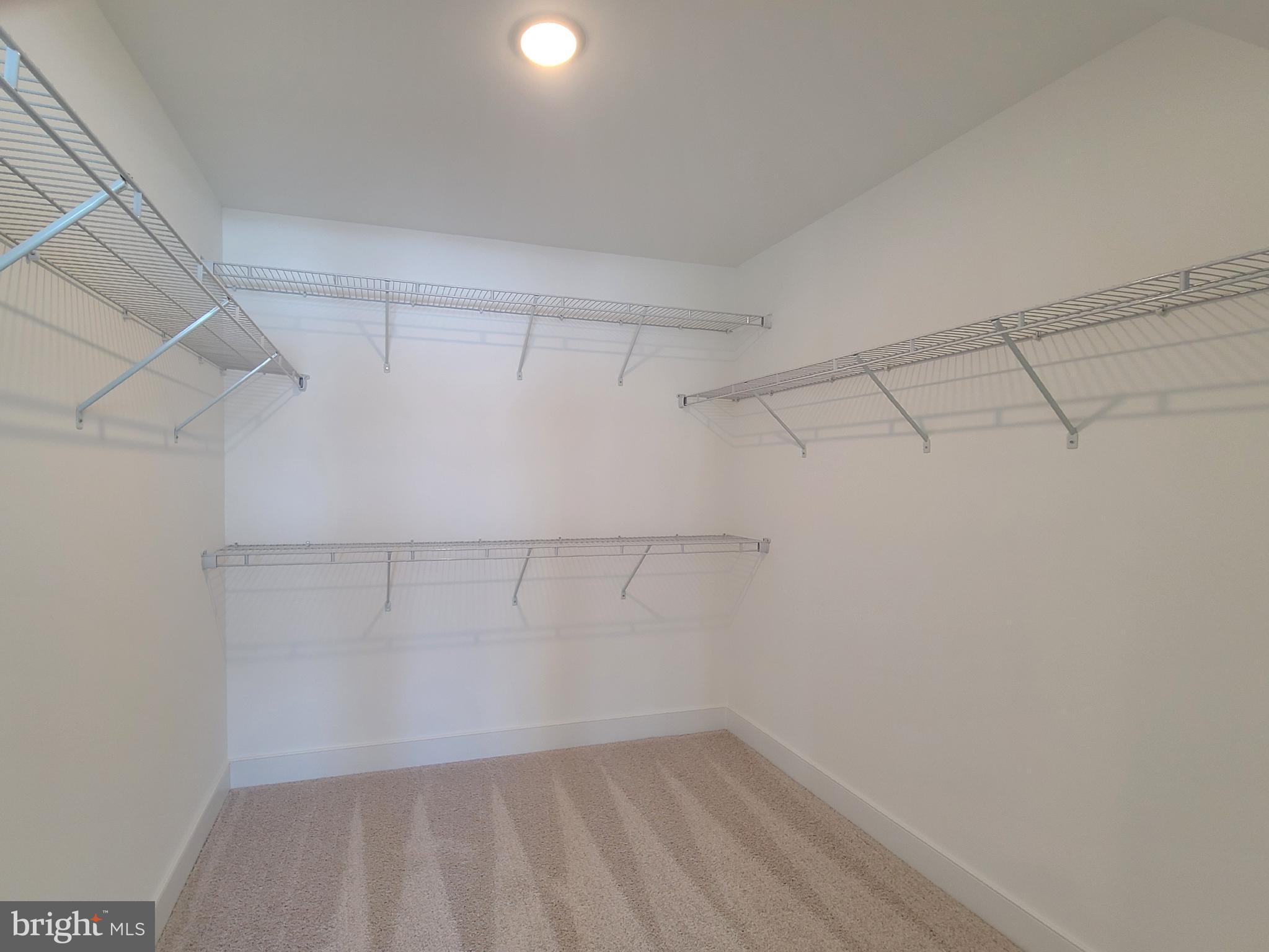 5046 Bigleaf Road Fredericksburg, VA 22407 - Photo 14 of 33 MBR Walk-In Closet