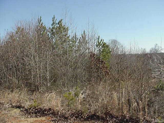 0 Harrison Town Road Manson, NC 27553 - Photo 1 of 1 a view of a yard