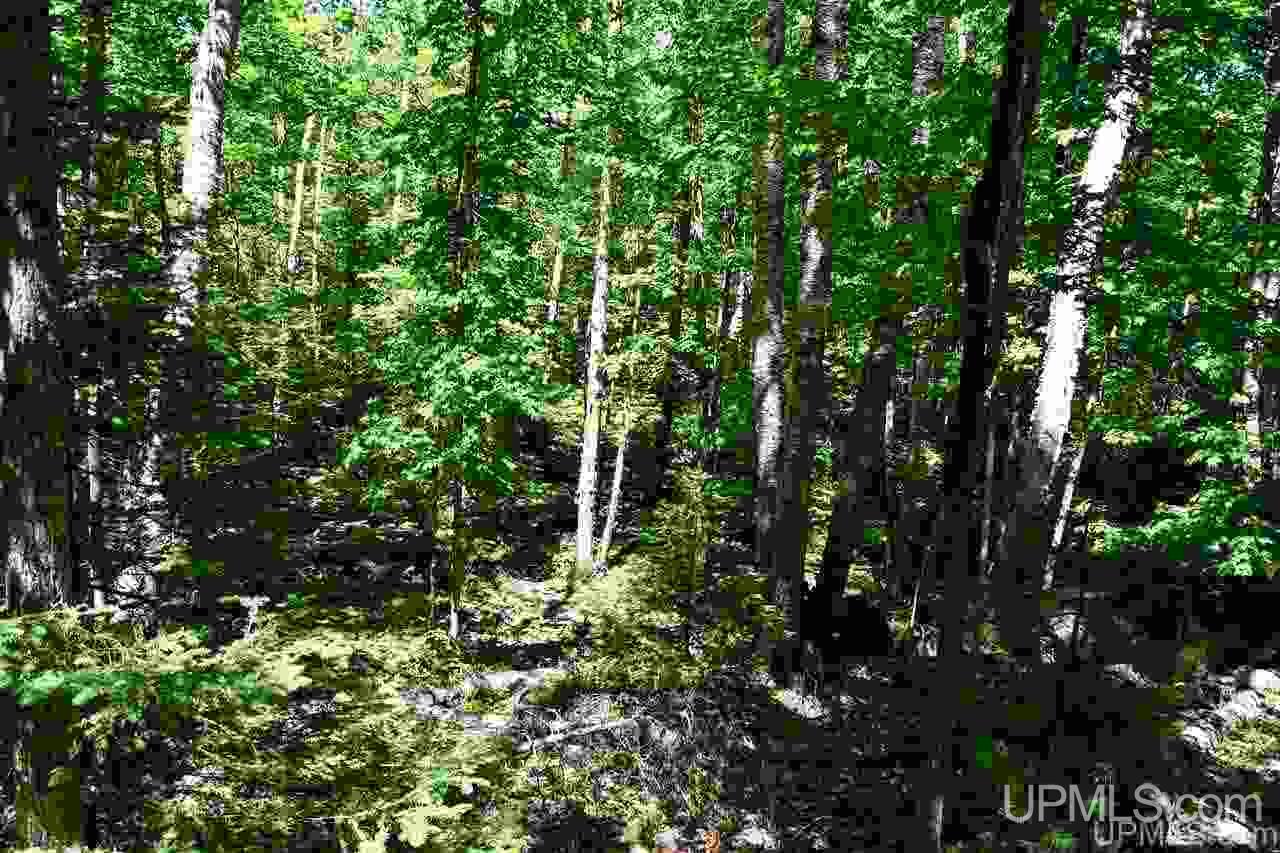1125 Cooper Lake Road Ishpeming, MI 49849 - Photo 28 of 32