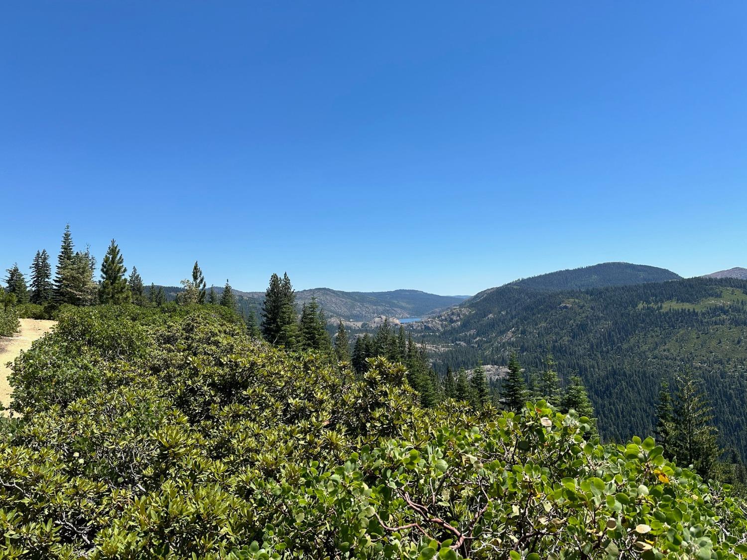 25609 Hoosier Road Nevada City, CA 95959 - Photo 8 of 44