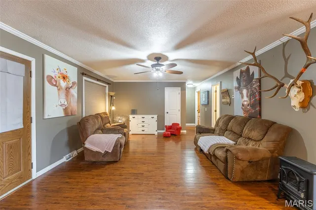 $379,900 | 2450 County Road 629, Fisk, MO 63940