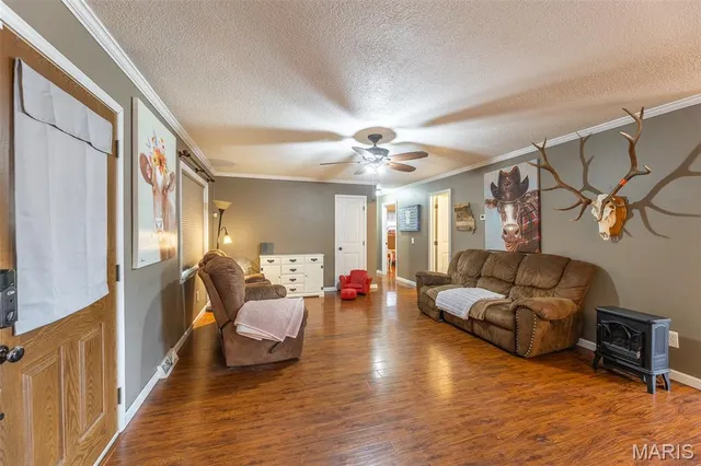 $379,900 | 2450 County Road 629, Fisk, MO 63940