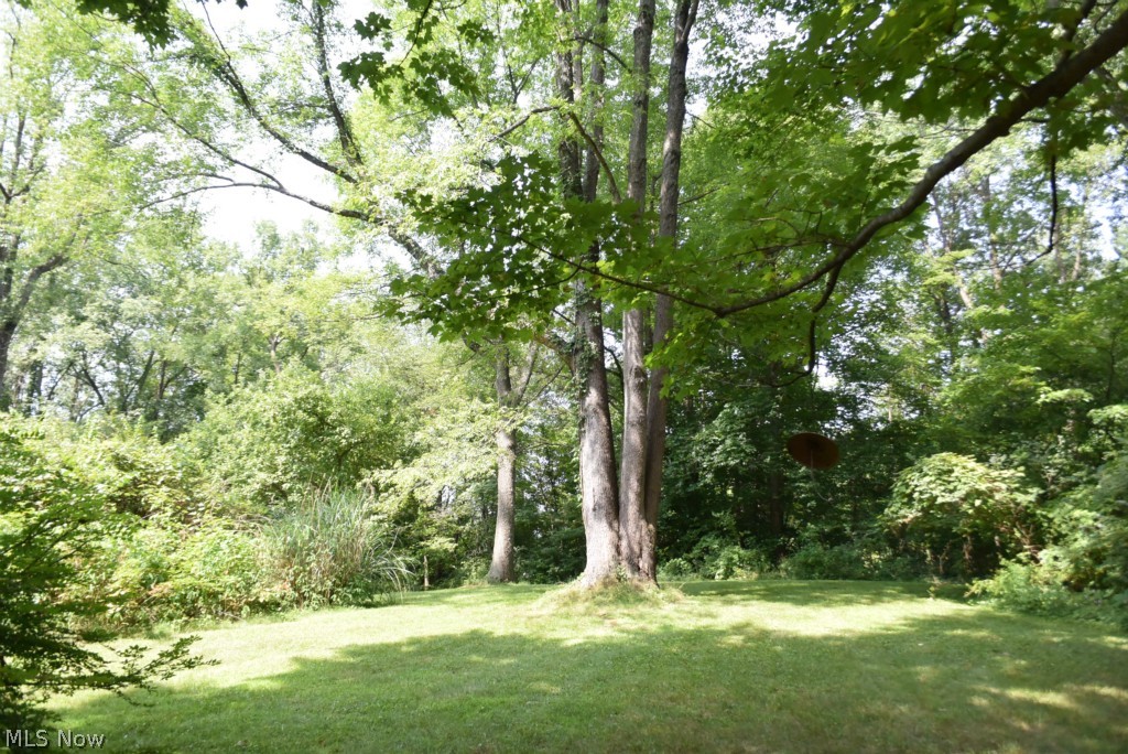 3151 Sunnybrook Road Mogadore, OH 44260 - Photo 19 of 19 Yard