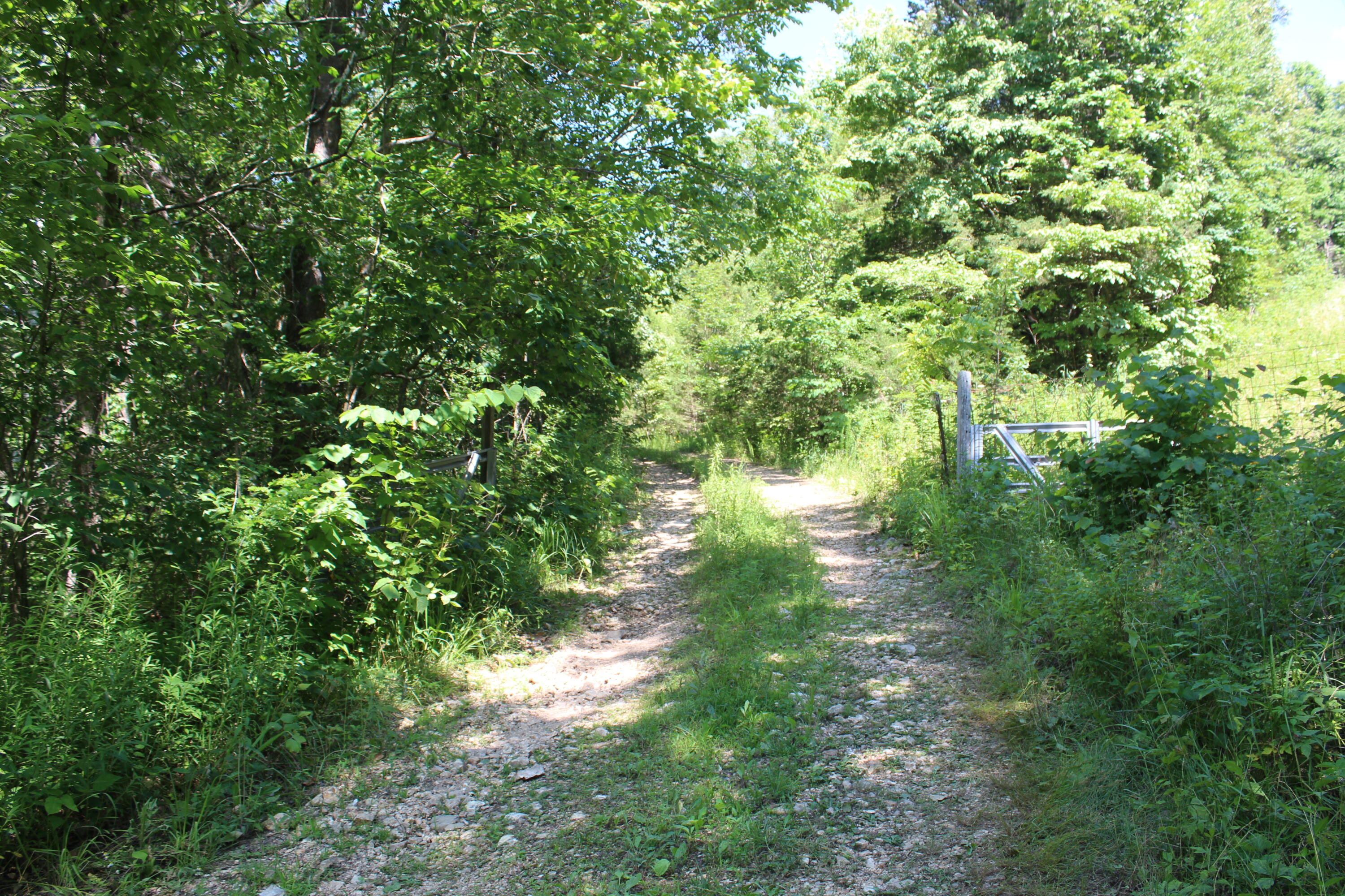15592 Co Road Bruner, MO 65620 - Photo 1 of 1 Gate entrance