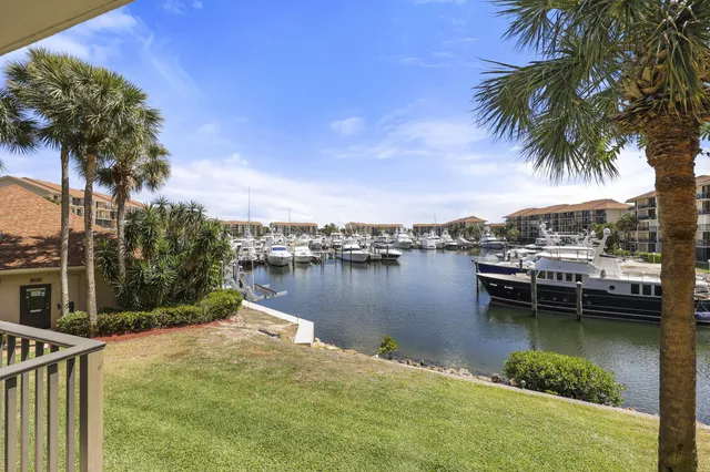 a view of a lake with boats and palm trees