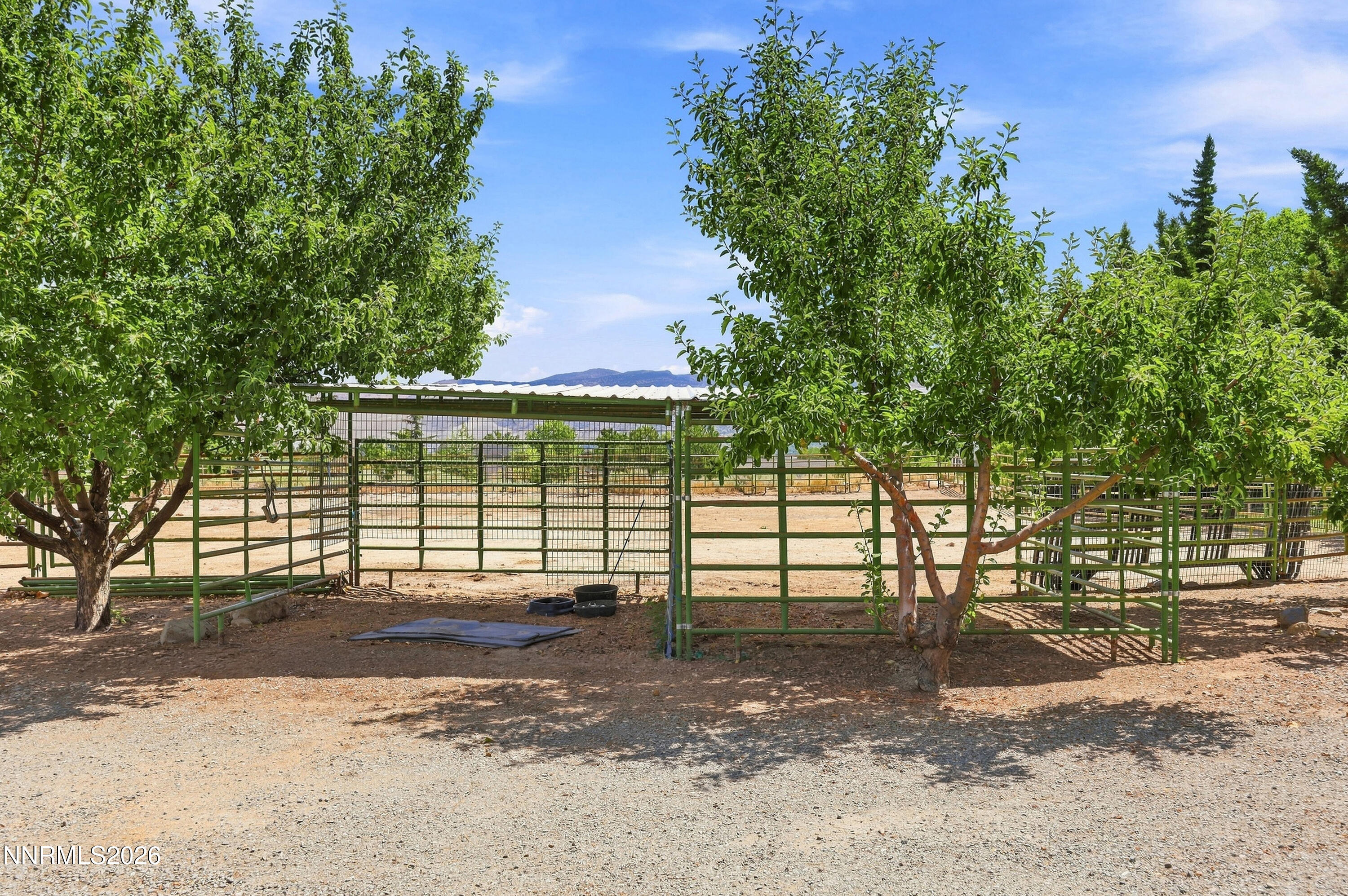 14430 Spezia Road Reno, NV 89511 - Photo 72 of 74 118_14430_spezia_rd_0119
