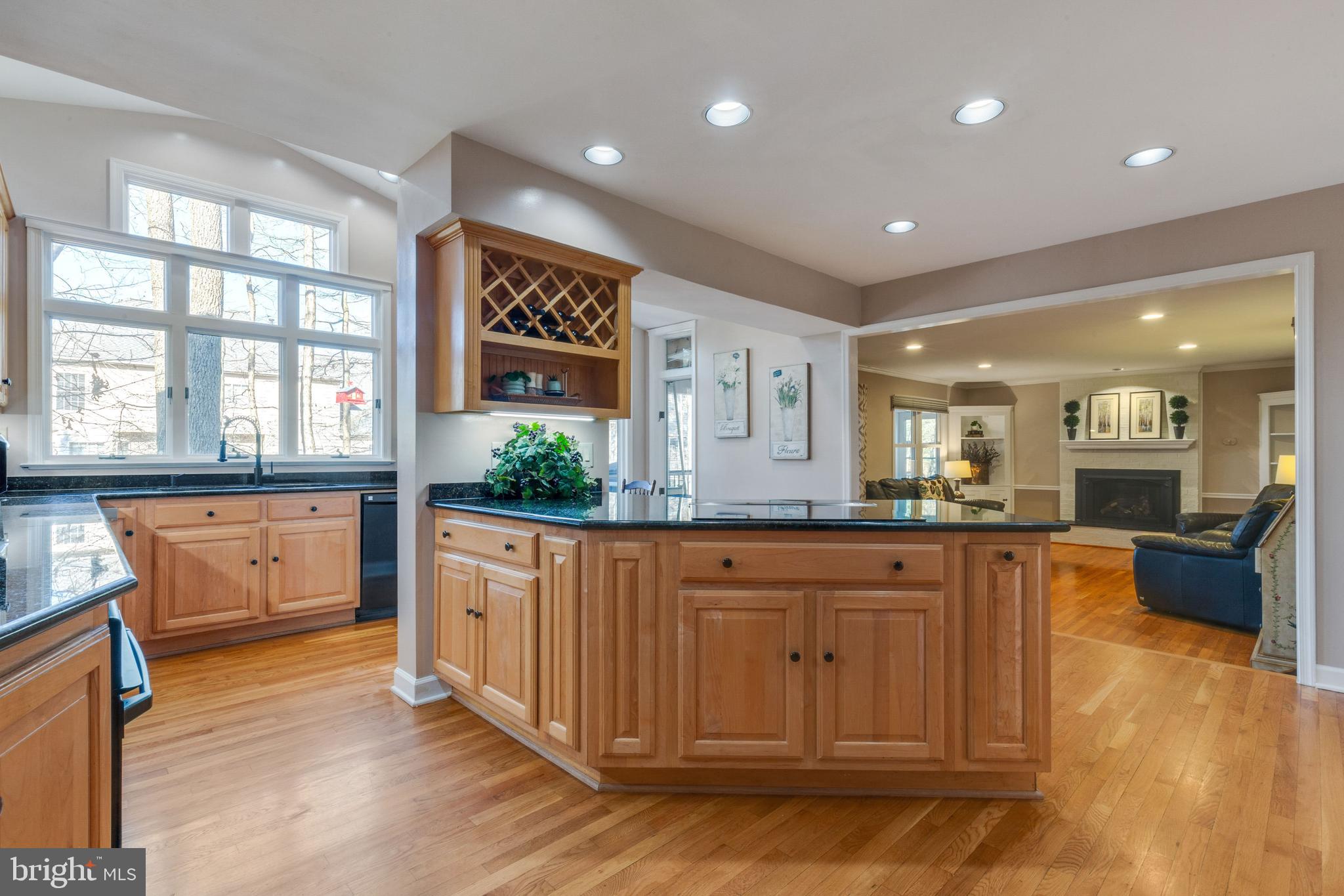 12332 Washington Brice Road Fairfax, VA 22033 - Photo 23 of 54 Kitchen Remodel with Extension & Wall of Windows!