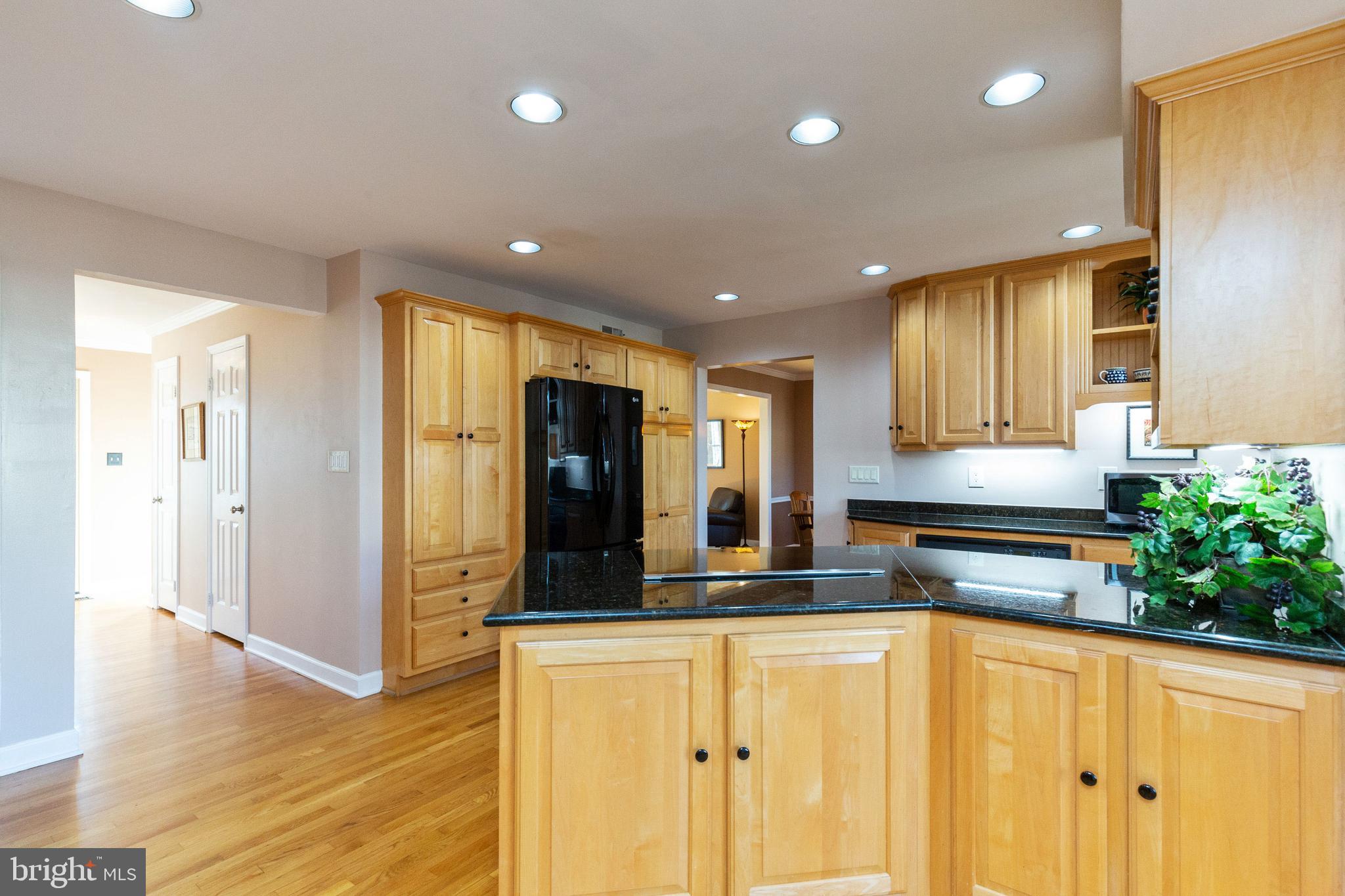 12332 Washington Brice Road Fairfax, VA 22033 - Photo 25 of 54 Kitchen with Pantry Cabinets w/Roll-Out Shelves!