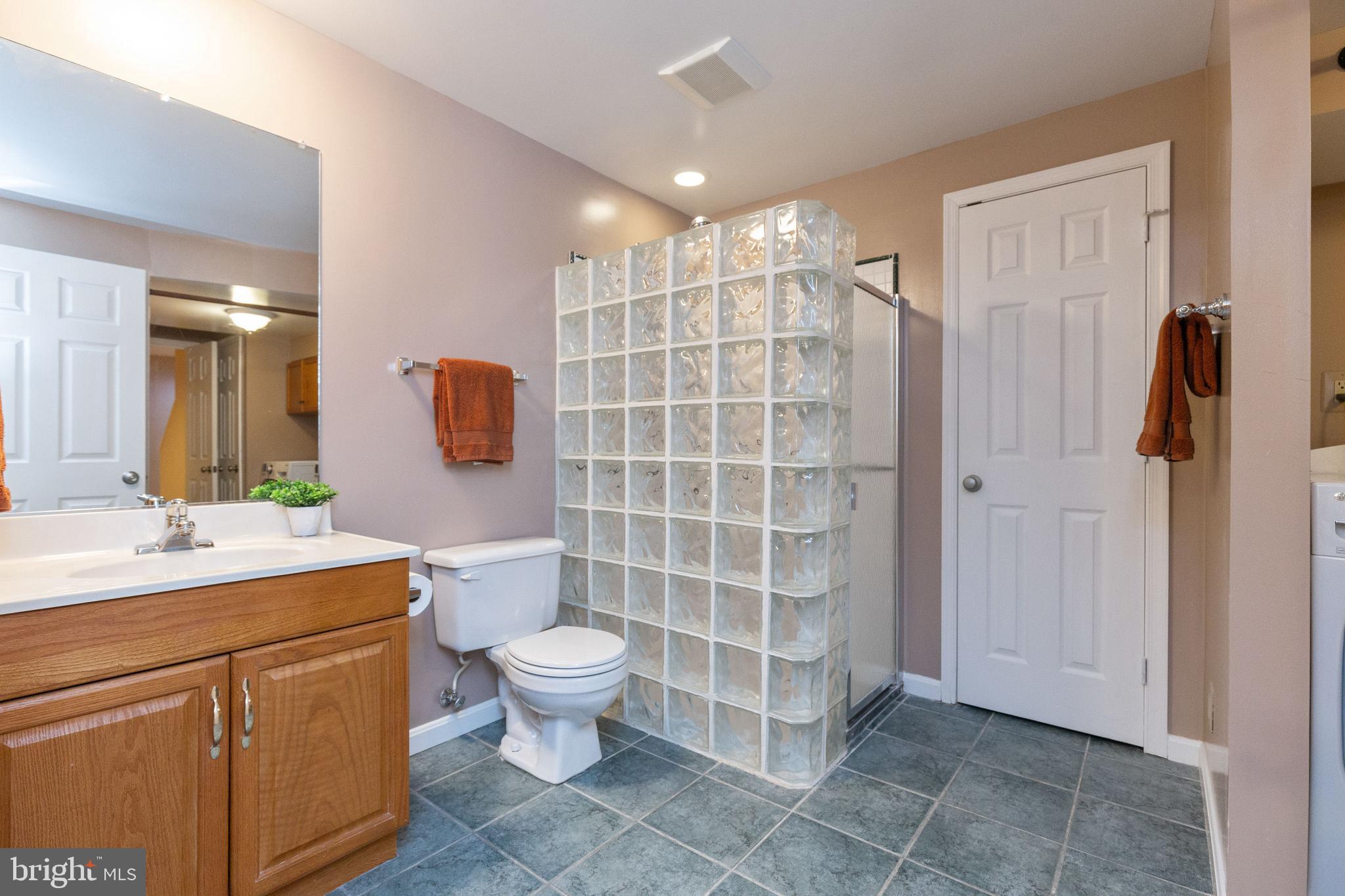 12332 Washington Brice Road Fairfax, VA 22033 - Photo 49 of 54 Basement Full Bath with Glass Block Shower!