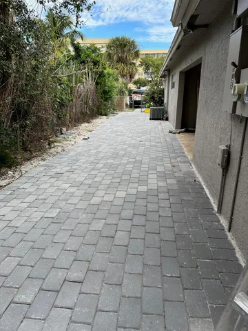 a view of a yard with plants