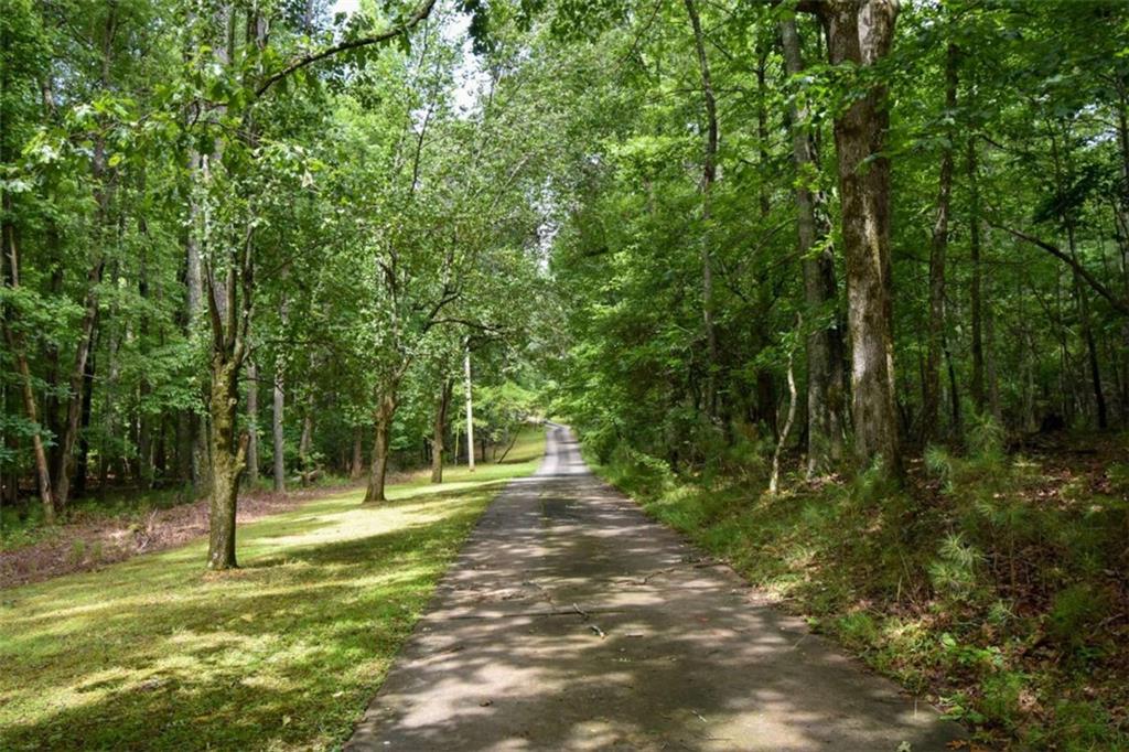 7448 Berea Road Winston, GA 30187 - Photo 3 of 42 a view of a tree in a yard