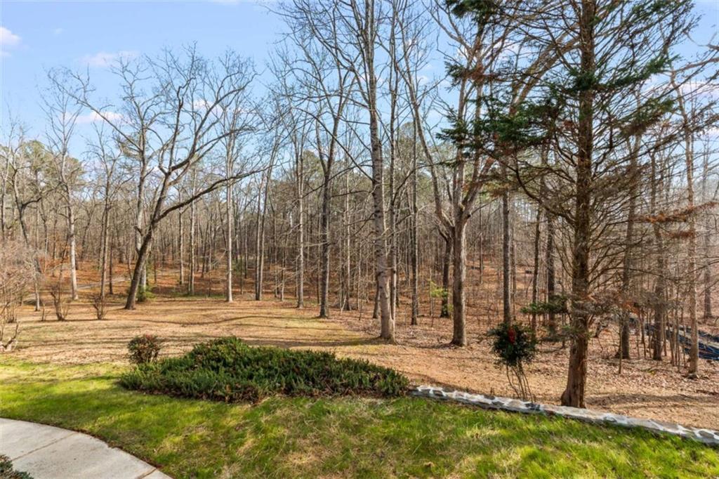 7448 Berea Road Winston, GA 30187 - Photo 40 of 42 a view of yard with tree s