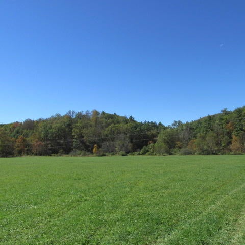 Frost Road Dunmore, WV 24934 - Photo 3 of 14 Gallery Image 3