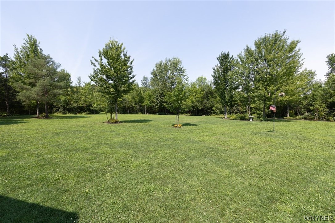 285 Cook Road East Aurora, NY 14052 - Photo 28 of 33 Yard