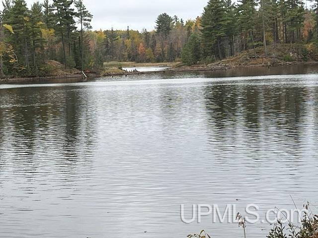 24380 Co Road Ishpeming, MI 49849 - Photo 64 of 92