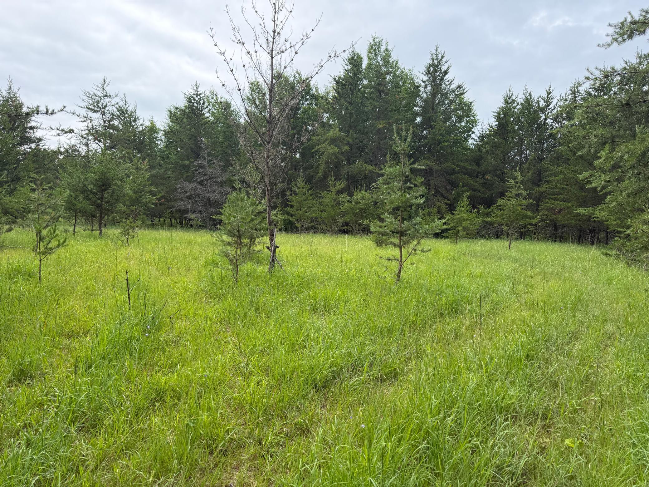 Tbd 350th Street Sebeka, MN 56477 - Photo 51 of 100
