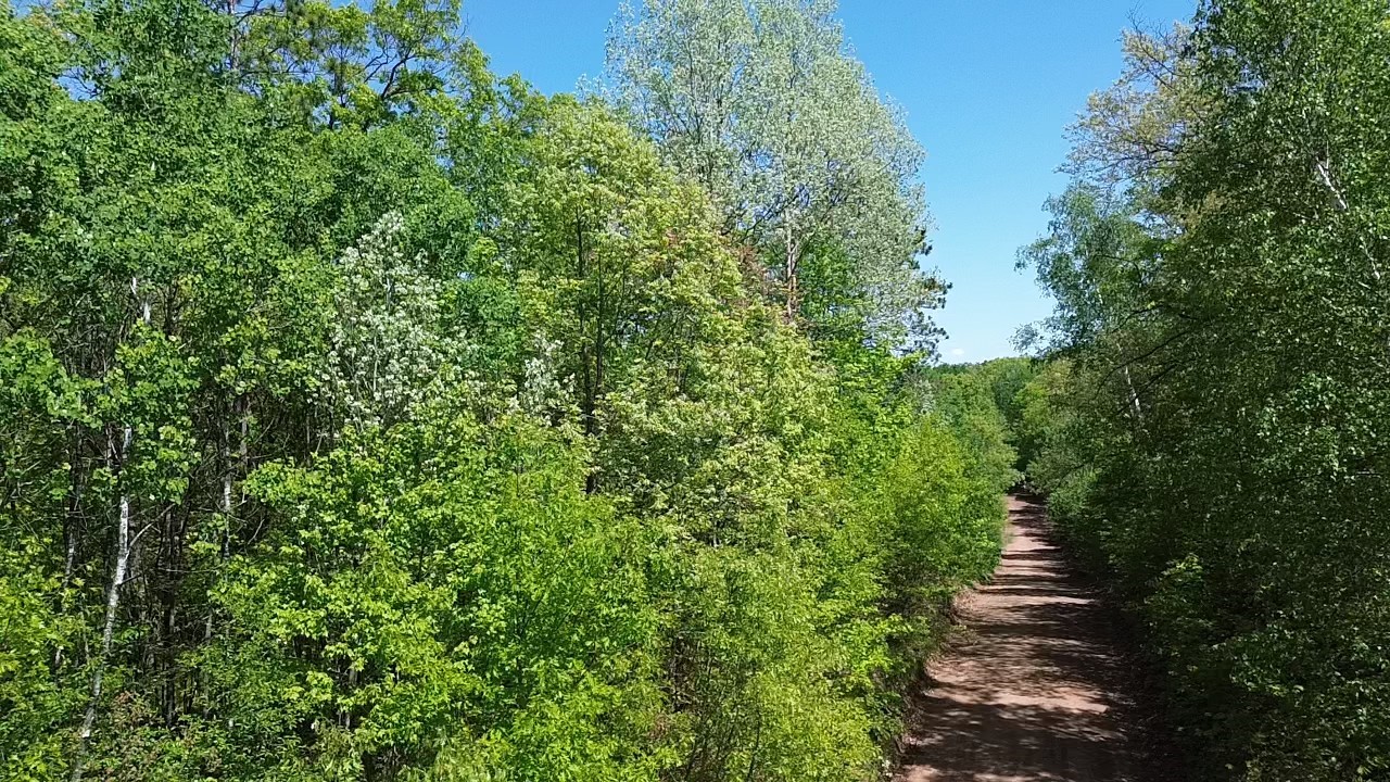 343 X 5th Avenue Shell Lake, WI 54871 - Photo 16 of 16