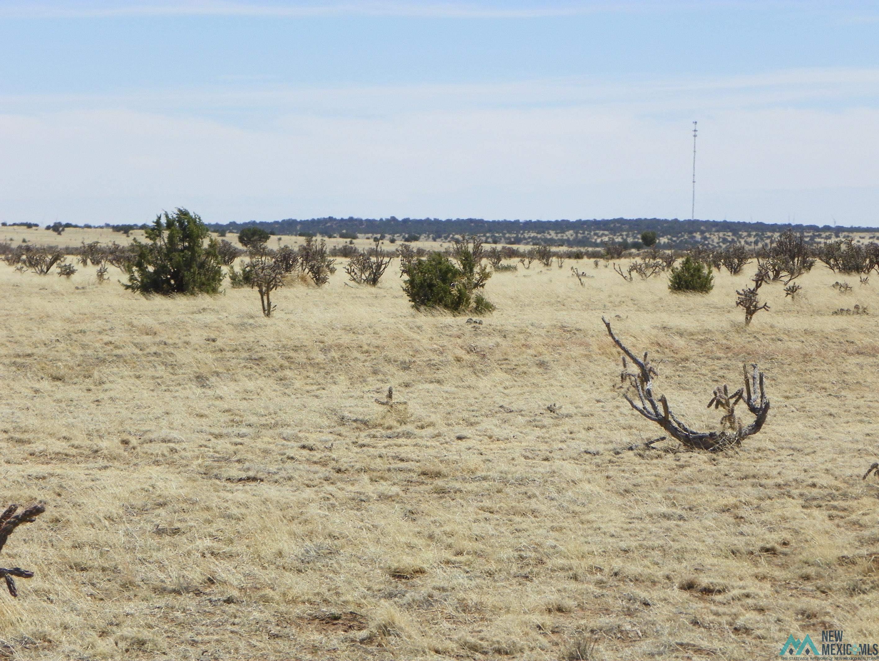 0 Pecos Spr Spur Santa Rosa, NM 88435 - Photo 29 of 29