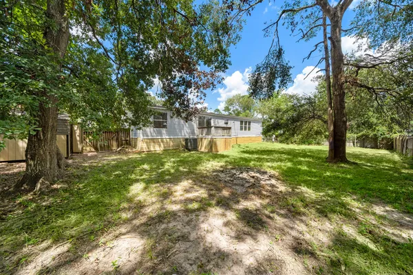 a view of a yard with plants and a large tree
