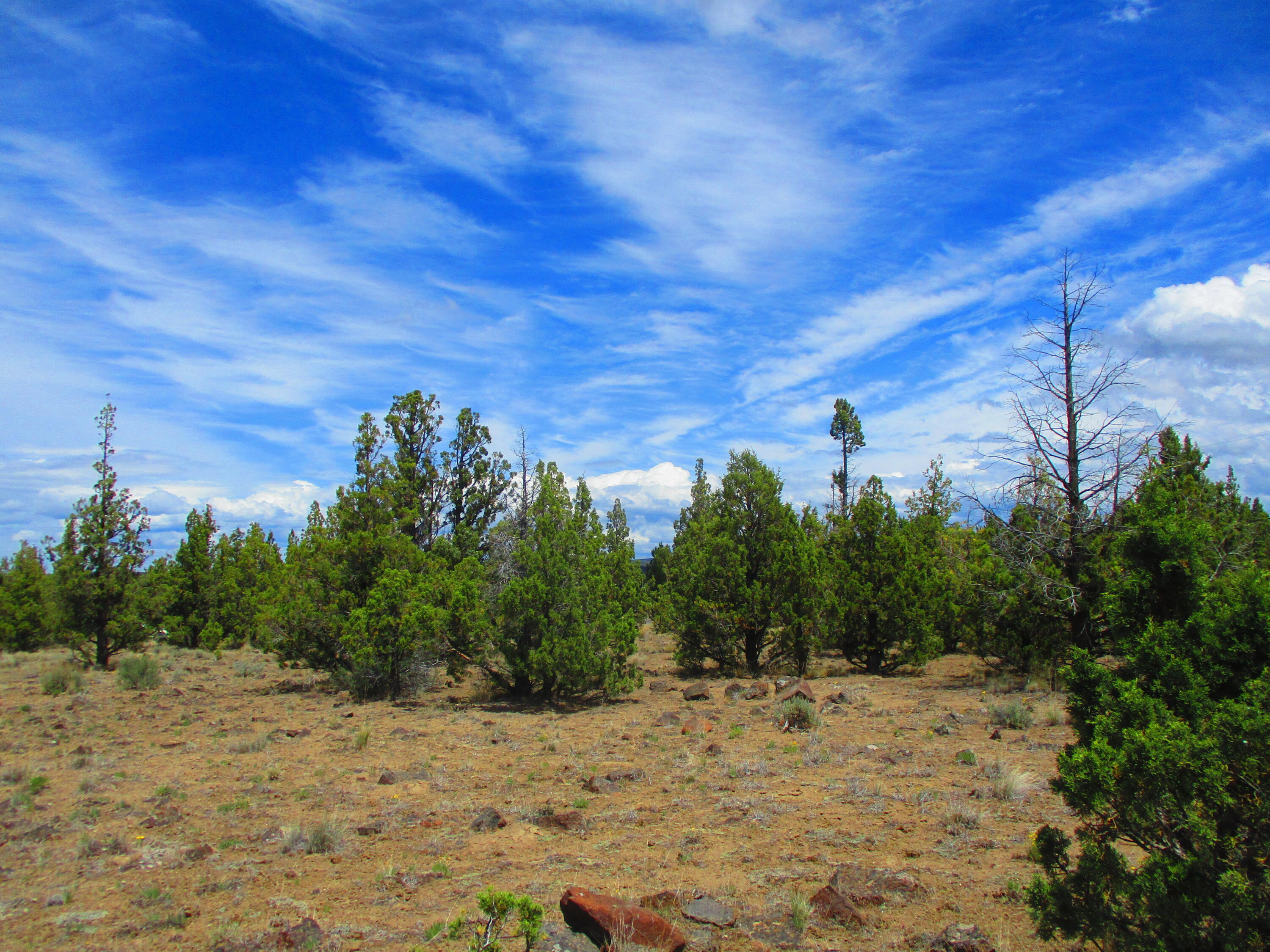 Tl7100 Southeast Cayuse Road Prineville, OR 97754 - Photo 9 of 12 9
