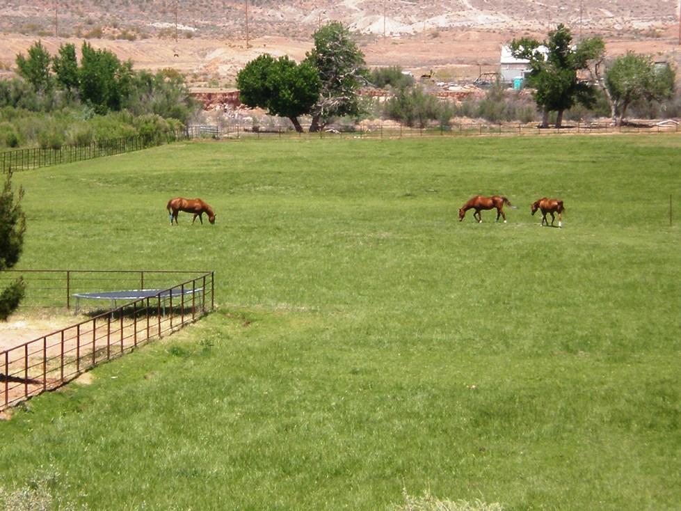 5-acres East Washington Dam Road Washington, UT 84780 - Photo 1 of 1 property