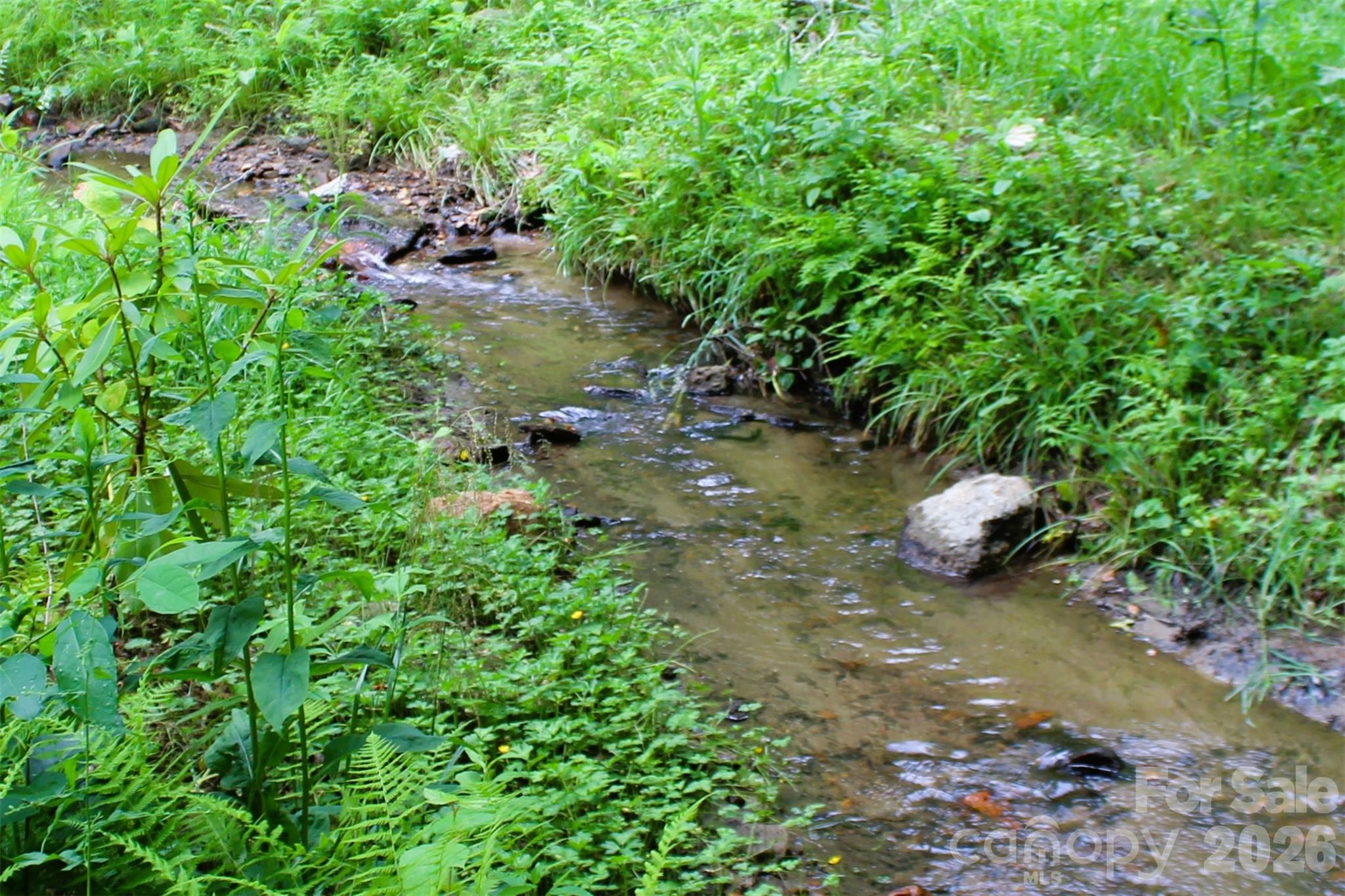 Tbd Long Branch Road Swannanoa, NC 28778 - Photo 17 of 18