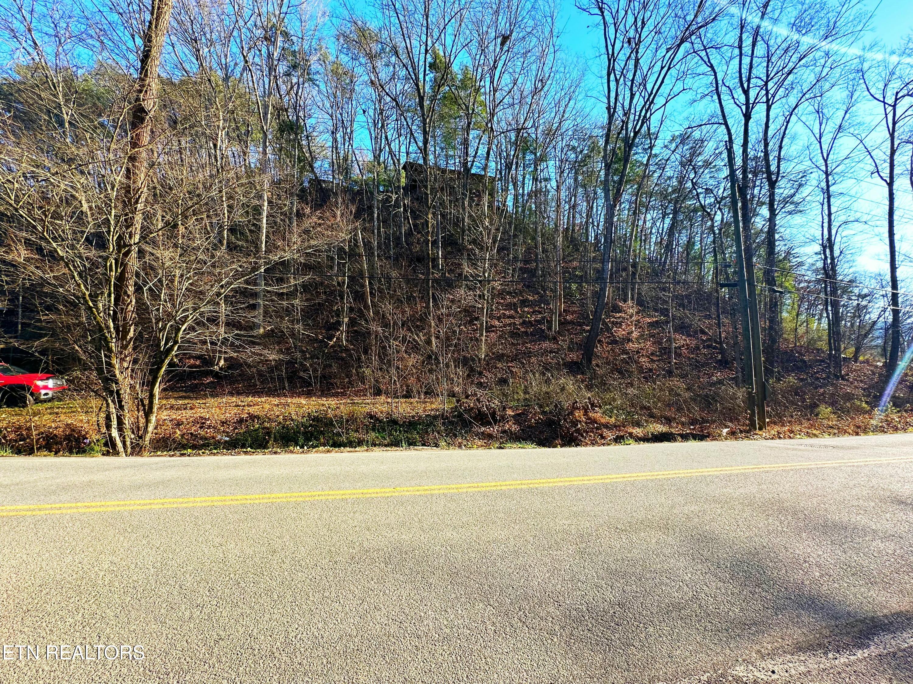 0 Ridge Road Pigeon Forge, TN 37863 - Photo 4 of 4 tempImageqR1KFP