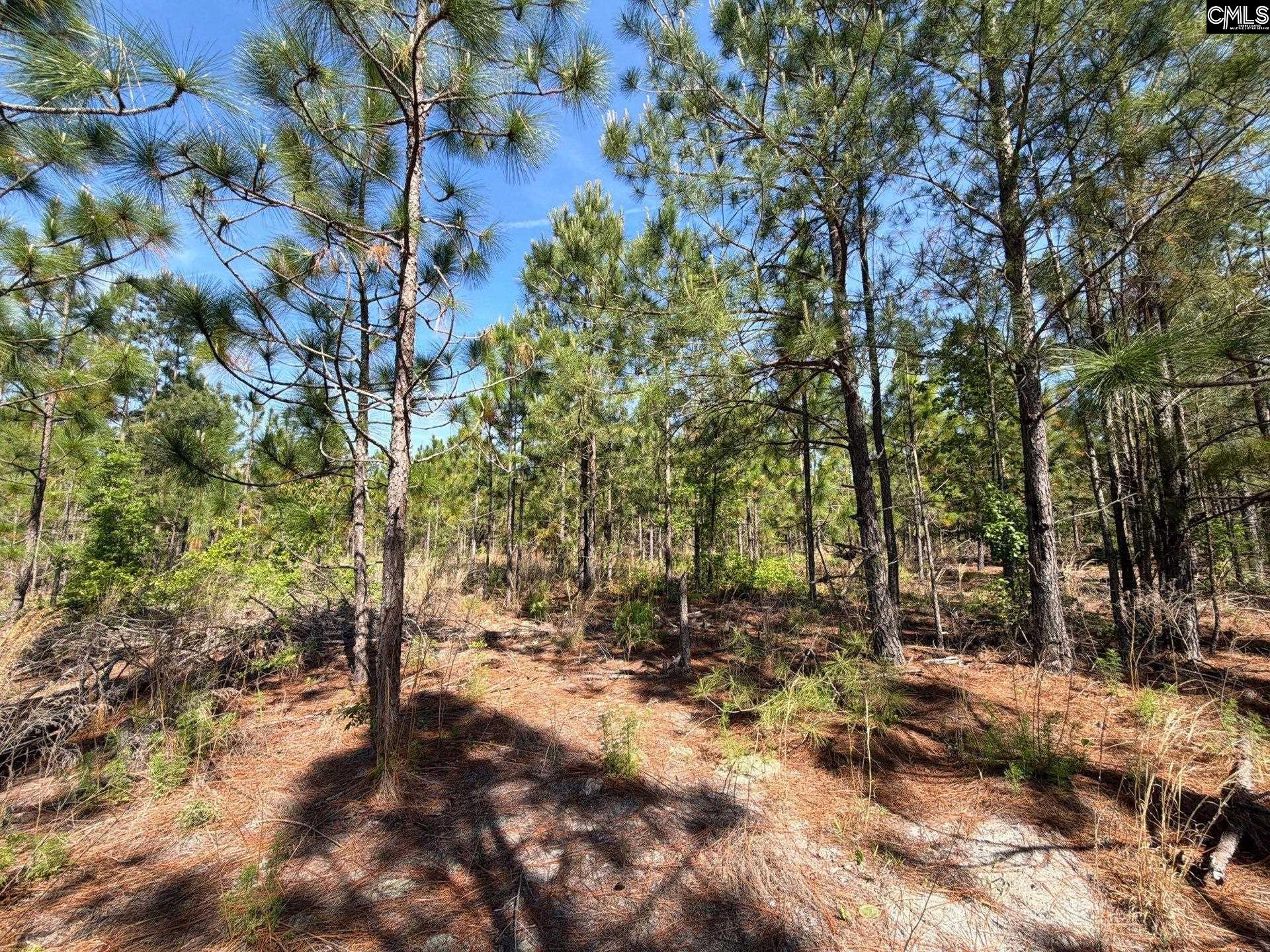 2 Holstein Road Monetta, SC 29105 - Photo 9 of 14
