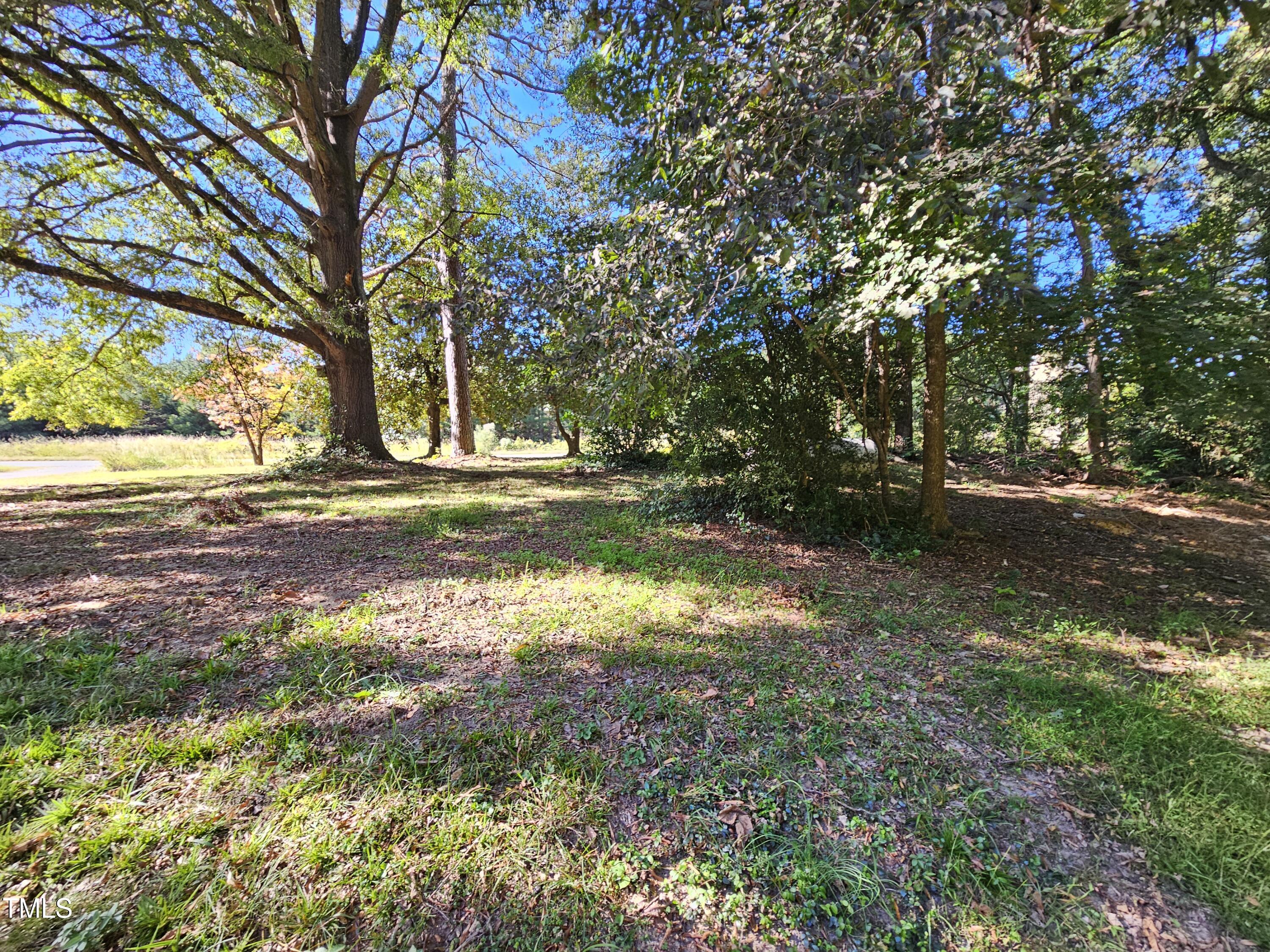 8178 Highway 751 Durham, NC 27713 - Photo 9 of 20 a view of dirt yard with a large tree