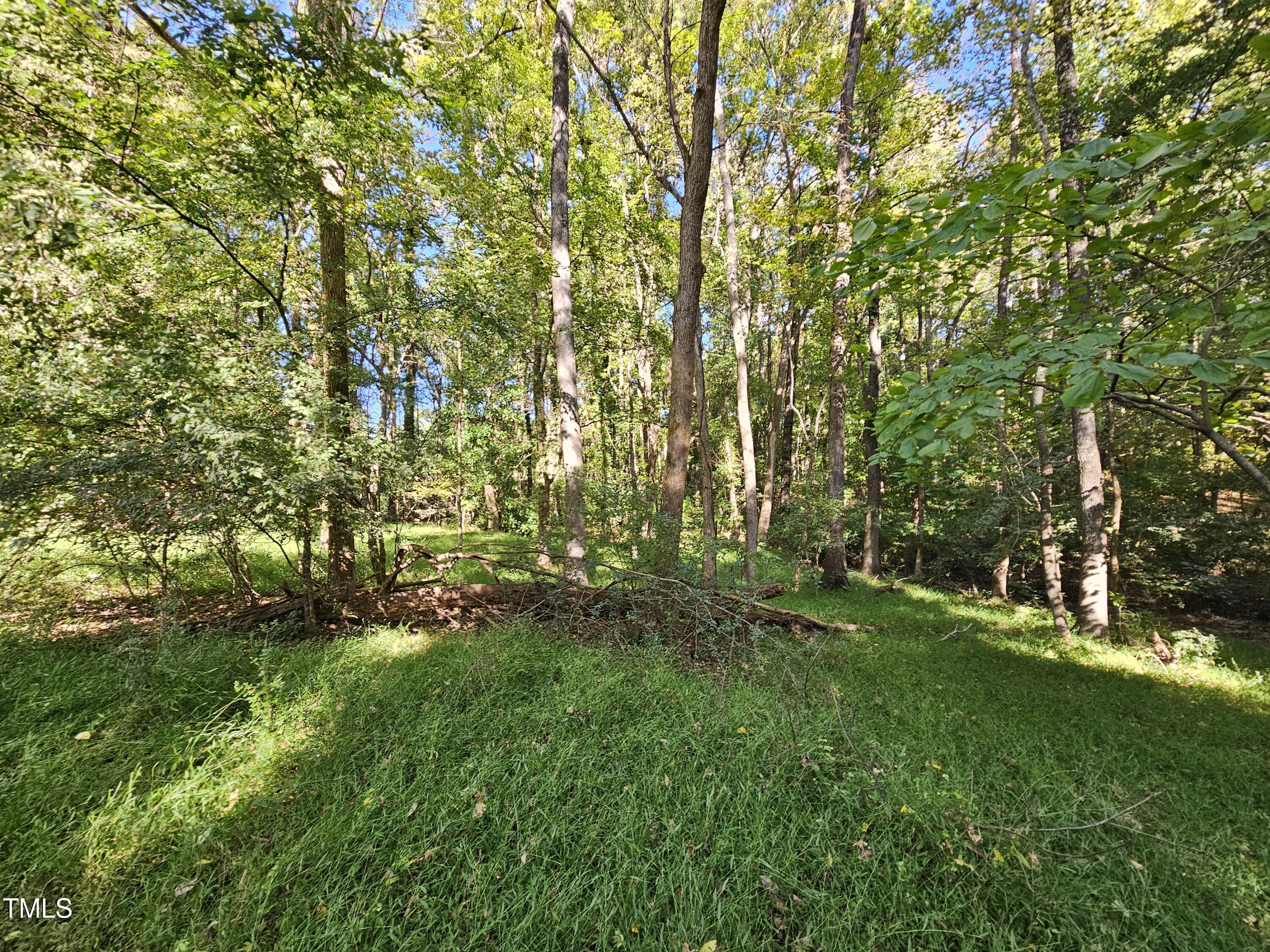 8178 Highway 751 Durham, NC 27713 - Photo 10 of 20 a yard with large trees