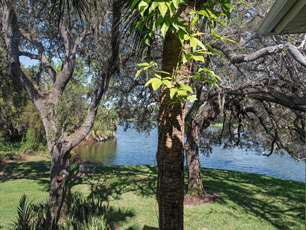 65 Silver Oaks Circle, Unit 11202 Naples, FL 34119 - Photo 2 of 12 a picture of tree
