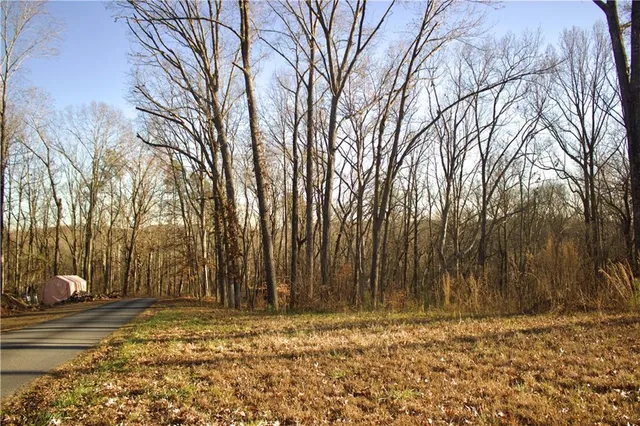 a view of a backyard of the house