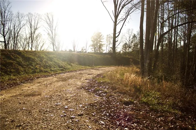 a view of mountain view with lots of trees