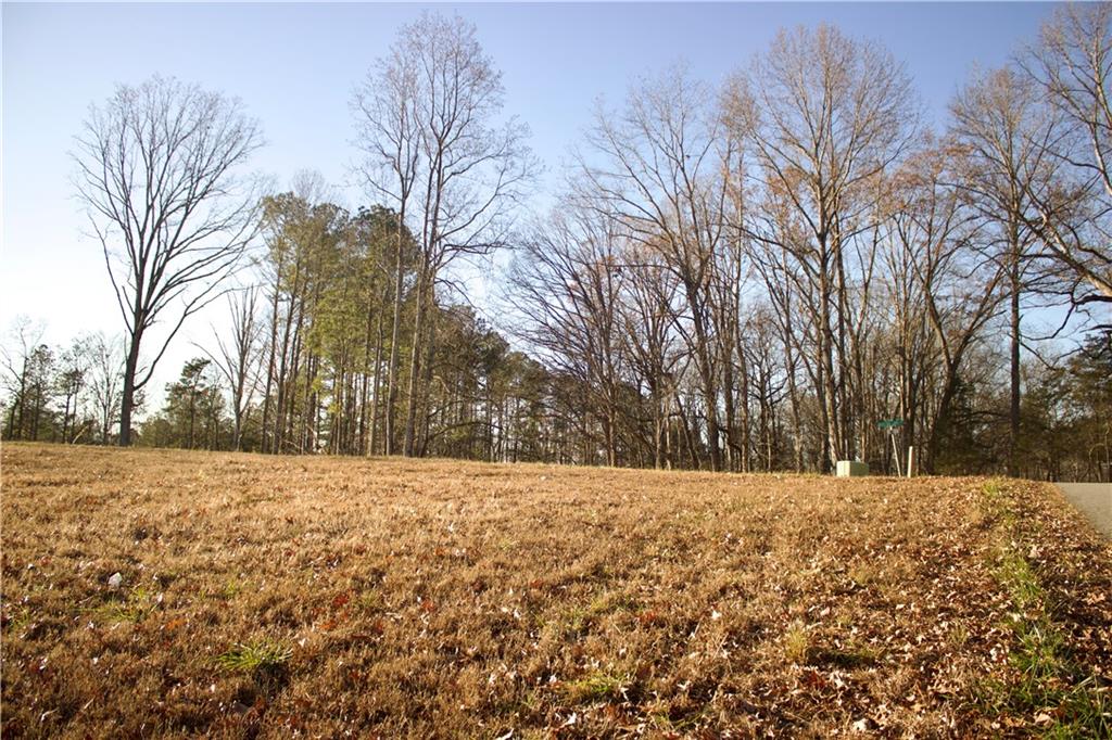 45 Keeling Lake Road Cartersville, GA 30121 - Photo 6 of 10 a street view covered with snow