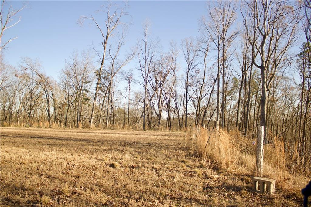 45 Keeling Lake Road Cartersville, GA 30121 - Photo 7 of 10 a view of yard with trees