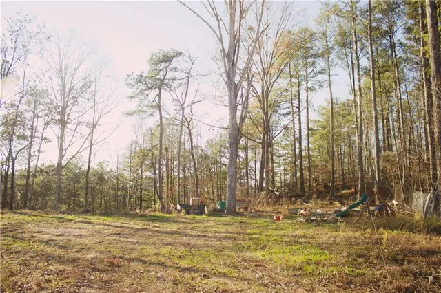 a view of a yard with trees