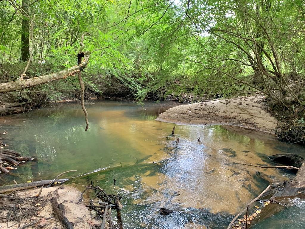 6.4-acre 6.4-acre Grant Road Slocomb, AL 36375 - Photo 1 of 1