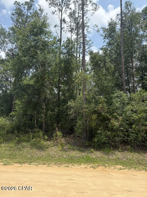 0 Forest Glen Road Fountain, FL 32438 - Photo 5 of 8