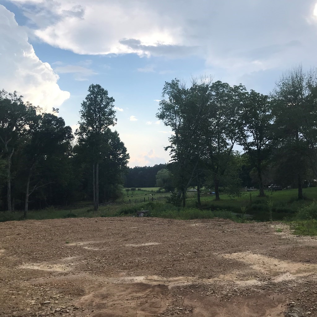 979 Shaver Road Dayton, TN 37321 - Photo 13 of 15