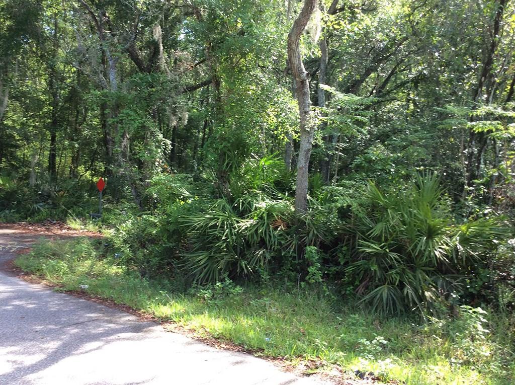 0 New Port New Port Richey, FL 34654 - Photo 1 of 1