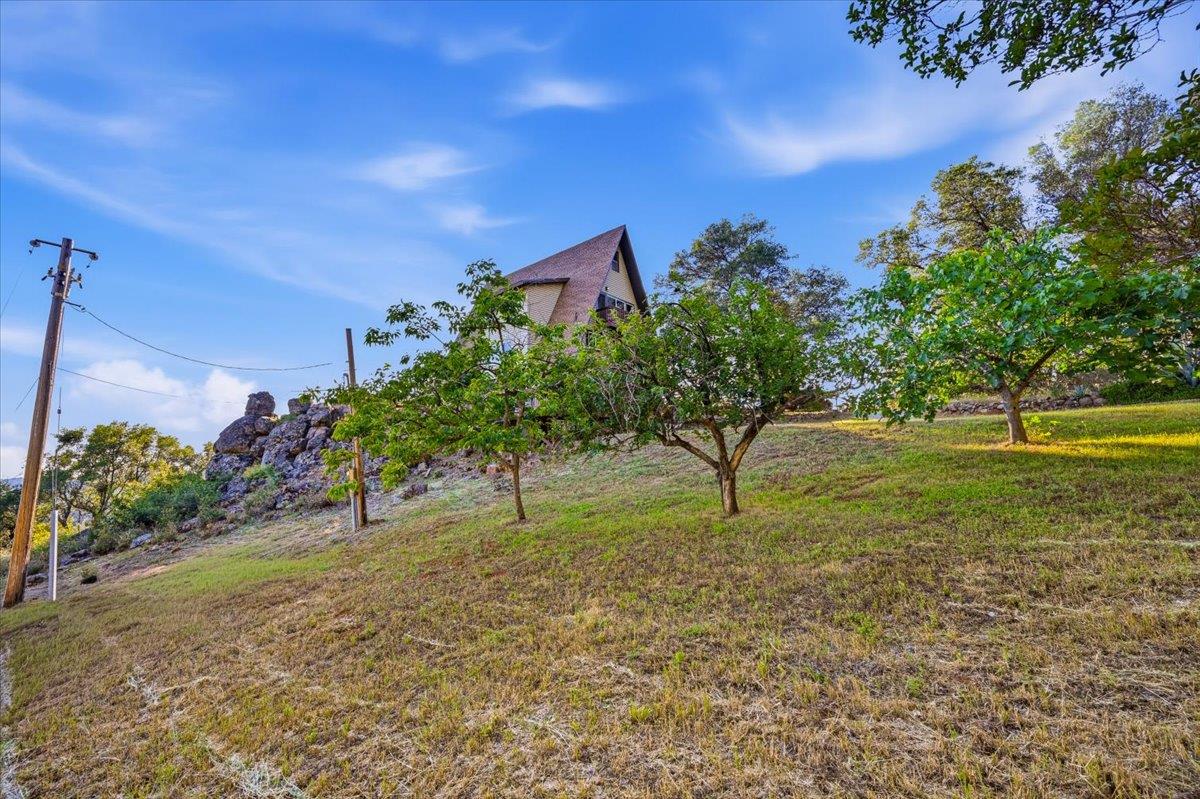 19235 Bumpy Road Grass Valley, CA 95949 - Photo 54 of 60