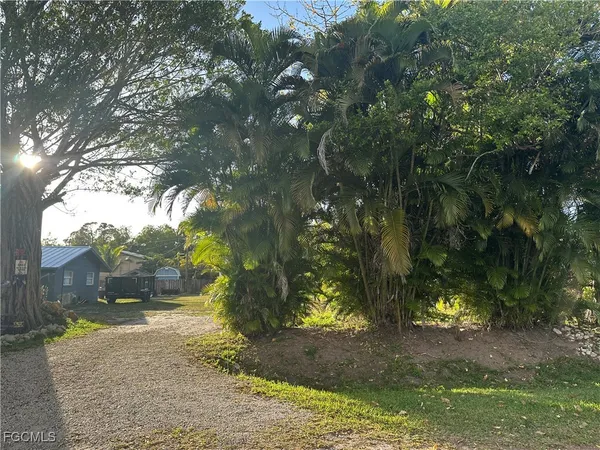 a view of a yard with plants and trees