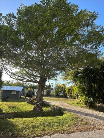 a view of a yard with large trees